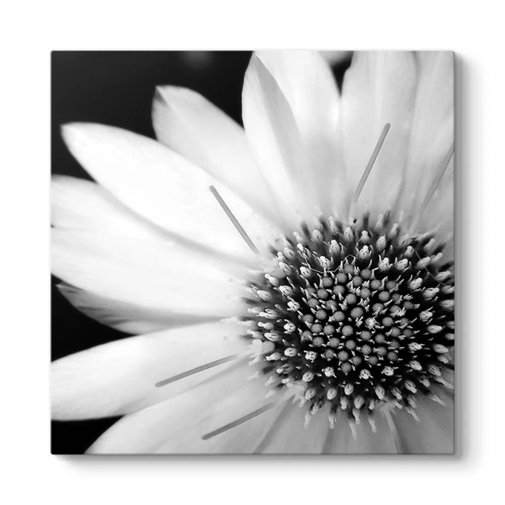 Yakından Gerbera Çiçeği Tablosu - Model 3